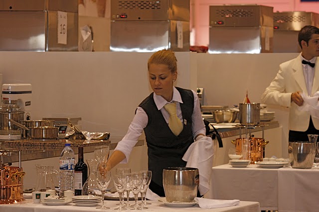 Viesm?l?bas nozares speci?listi r?da izcilu sniegumu jauno profesion??u konkurs? EuroSkills 2010